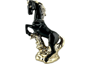 sokantis_zirgas_1754893979-b2ef700cca72704141625ab152cc1a5c.png